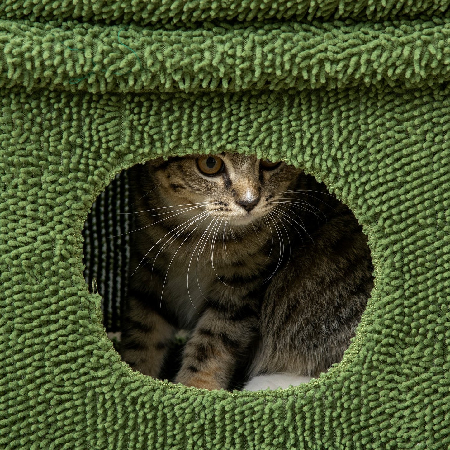 Pawhut Árbol Rascador De Cactus Para Gatos Altura Con Cama Caseta Poste Bola_4