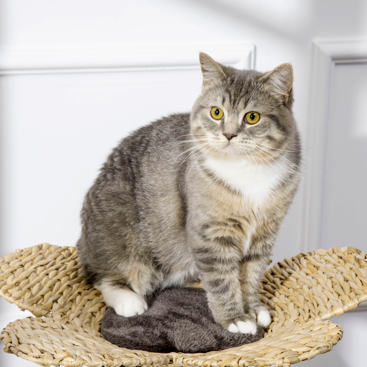 Pawhut Árbol Rascador Para Gatos Mediano 69 Cm Con Cama De Flores Poste De Sisal_4