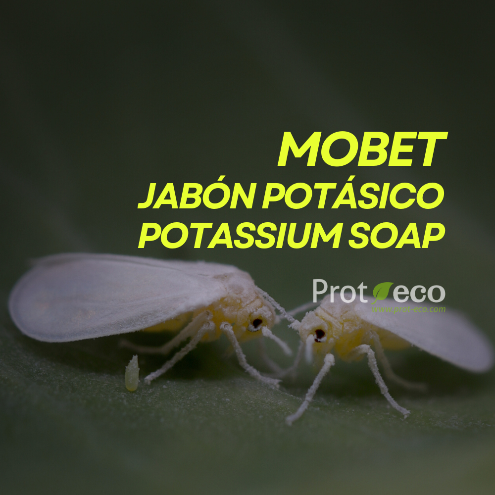 Jabón potásico ecológico para pulgón y cochinilla en plantas Mobet Prot-eco 100 ml + pipeta dosificadora 5 ml gratis_1