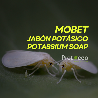 Jabón potásico ecológico para pulgón y cochinilla en plantas Mobet Prot-eco 100 ml + pipeta dosificadora 5 ml gratis_1