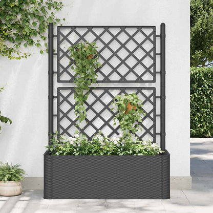 Arriate Con Enrejado Y Sistema De Riego Automático Antracita_1