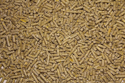 Pienso ECOLÓGICO para Cerdos en Crecimiento 20 kg. Comida Nutritiva y Natural para Cerdos. Desarrollo Óptimo y Saludable_4