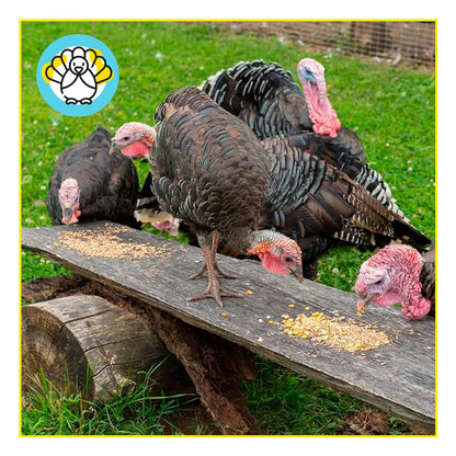 Pienso ECOLÓGICO pavos crecimiento. Saco 20kg_4