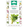 Sementes medicinais biológicas de Salvia Batlle