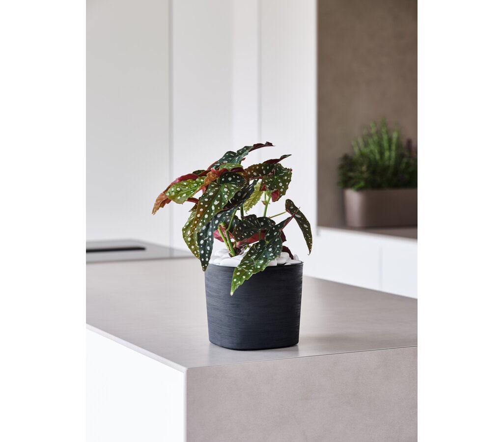 Teraplast Macetero De Plástico Reciclado Cuadrado Capri Negro 24cm_1