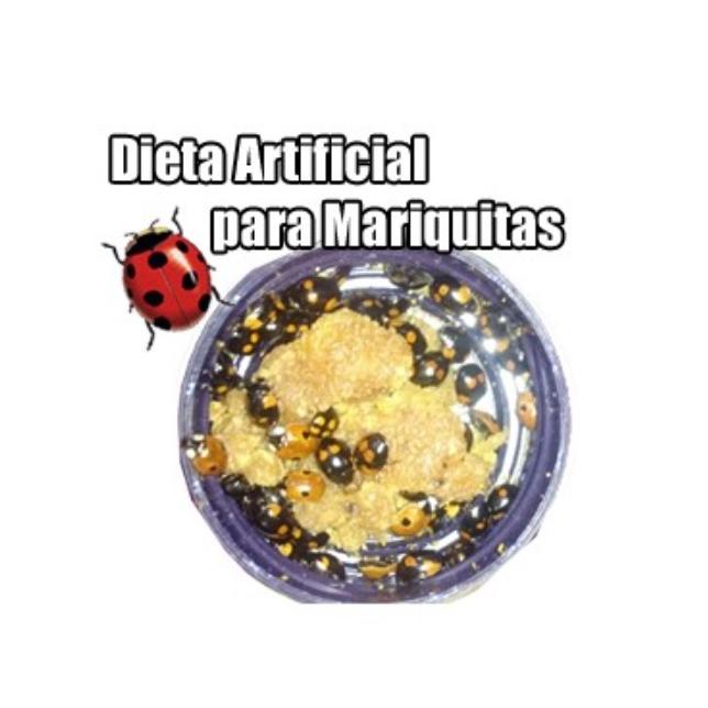 Alimentação para Joaninhas - Dieta Artificial