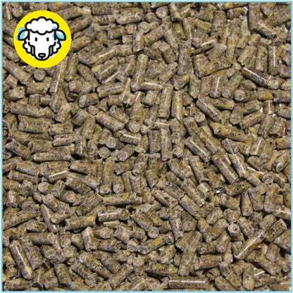 Pienso ECOLÓGICO para Corderos 20kg - Alimentación Natural y Nutritiva Pienso para Corderos con Ingredientes de Calidad_1