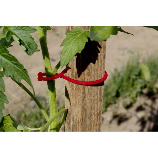 Amarração para plantas de tomate Tomatoclip Nortene de 25 unidades