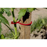 Amarração para plantas de tomate Tomatoclip Nortene de 25 unidades