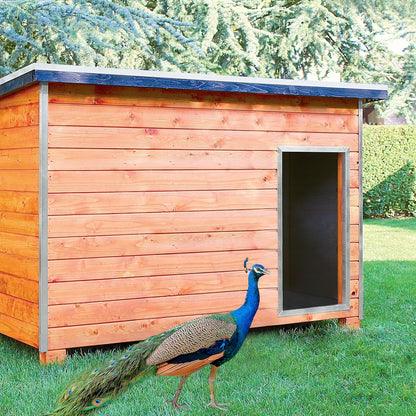 Gallinero Para Pavos Y Otras Grandes Aves - Caseta Para Animales - Refugio Para Cabras Y Ovejas_1