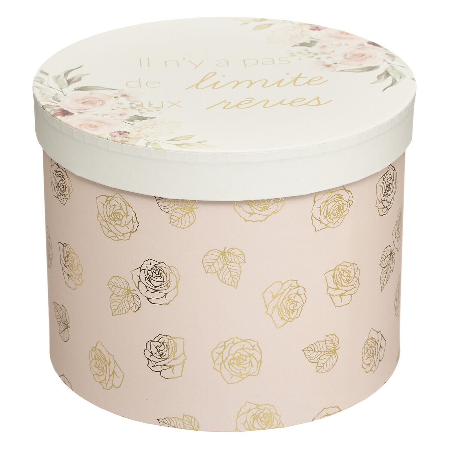 Caja De Cartón princesa X 3 Blanca Y Rosa_2