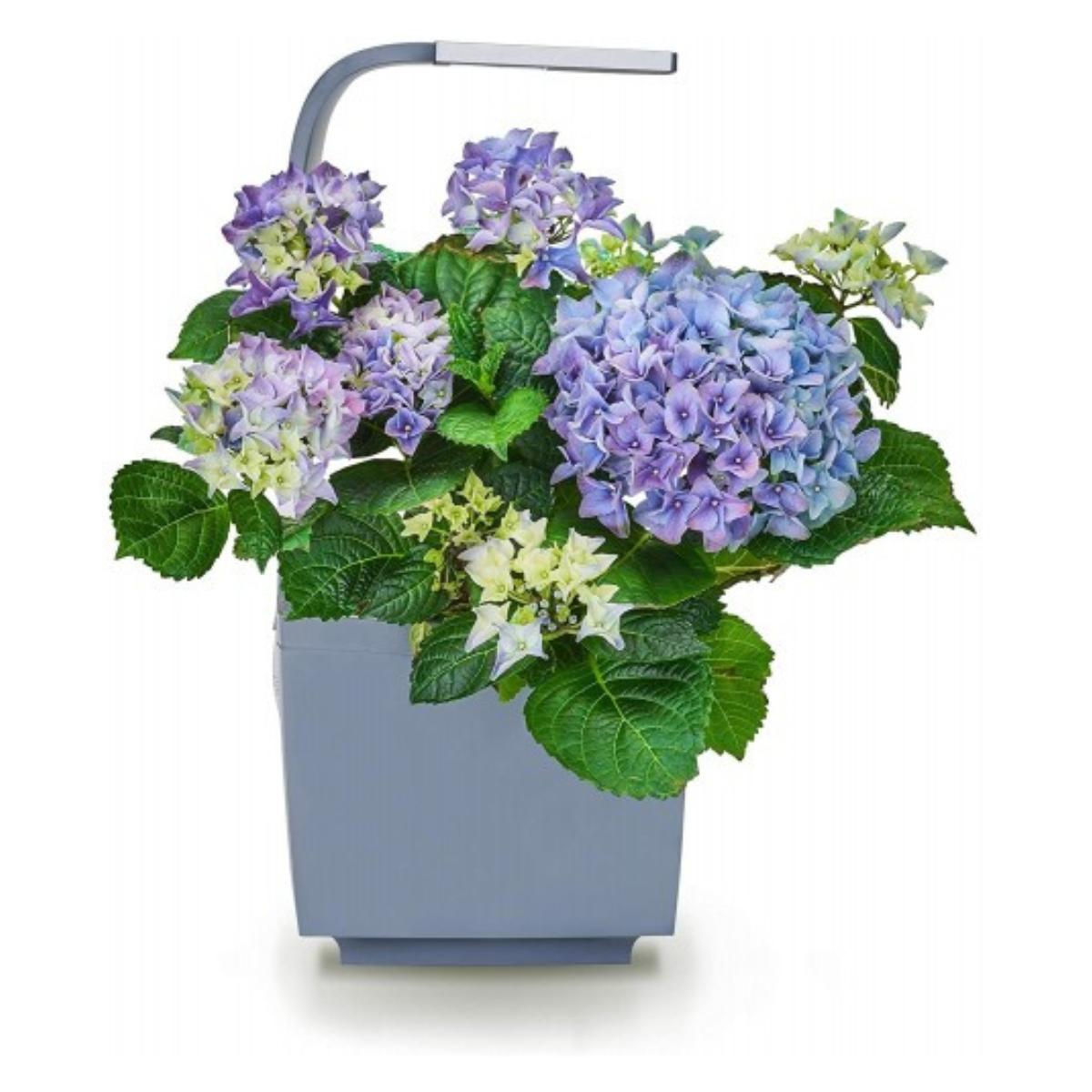 T3 Kitchen Garden Vaso autocultivante 20 x 17,5 cm