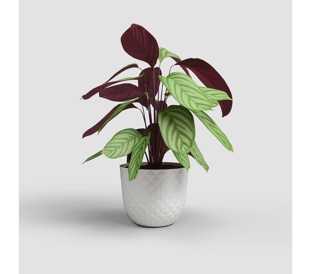 Artevasi Macetero Havana Tropical Blanco De Plástico Reciclado 40cm_1