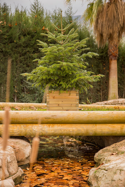 Jardinera Cuadrada De Madera Tratada Autoclave De 50 X 50 X 40 Cm 67l Incluye Bolsa Geotextil_3