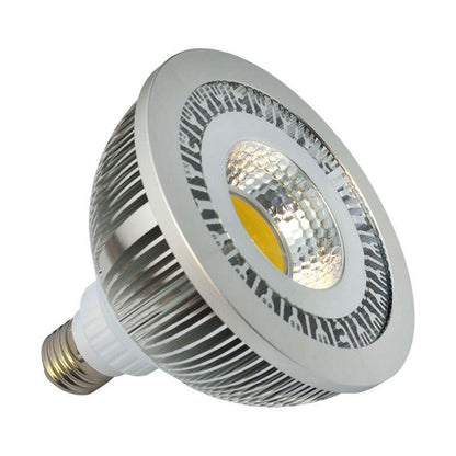 Lámpara Led Par38 - E27 Cob - 15w, Blanco Frío_1