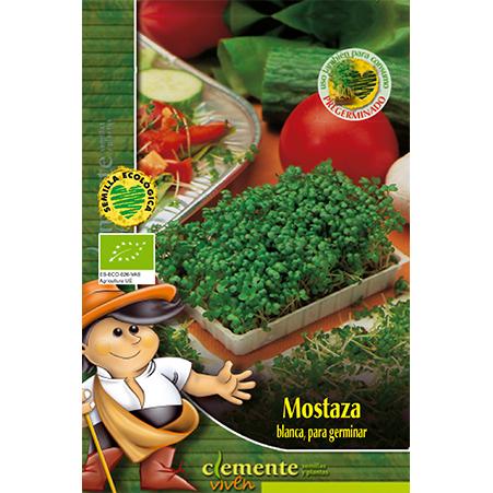 Sementes de mostarda branca biológica