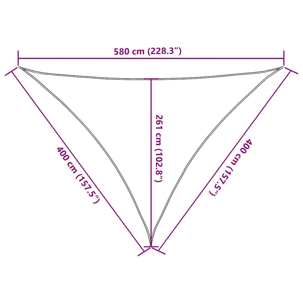 Vidaxl Toldo De Vela Triangular Hdpe Azul 160 G/m² 4x4x5,8 M_2