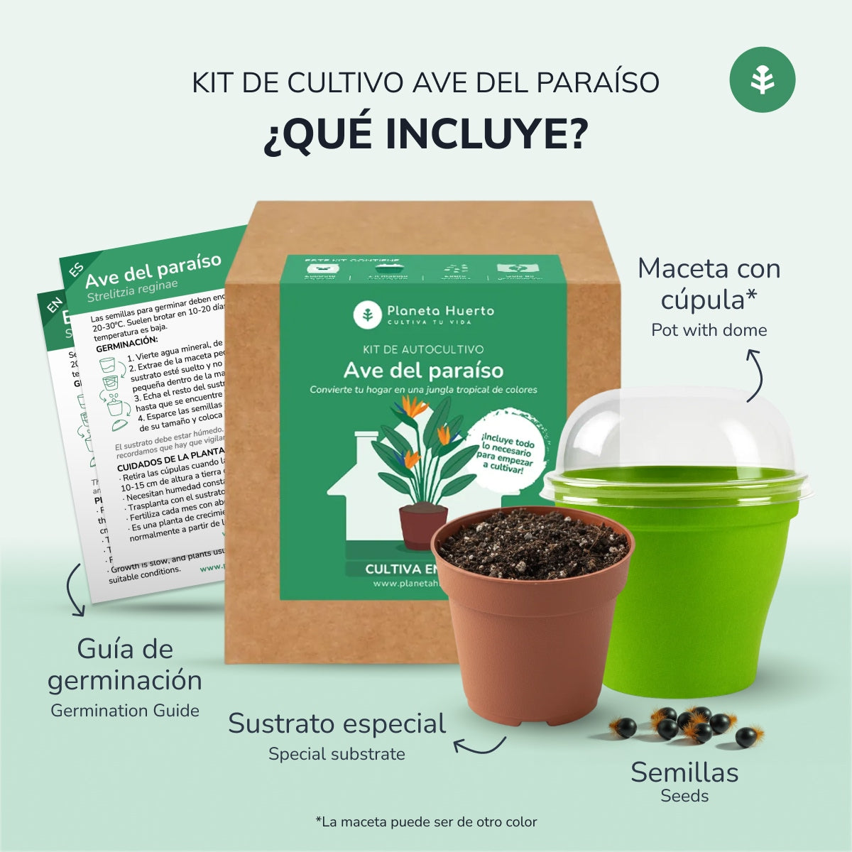 Kit de auto-cultivo de ave-do-paraíso Planeta Huerto