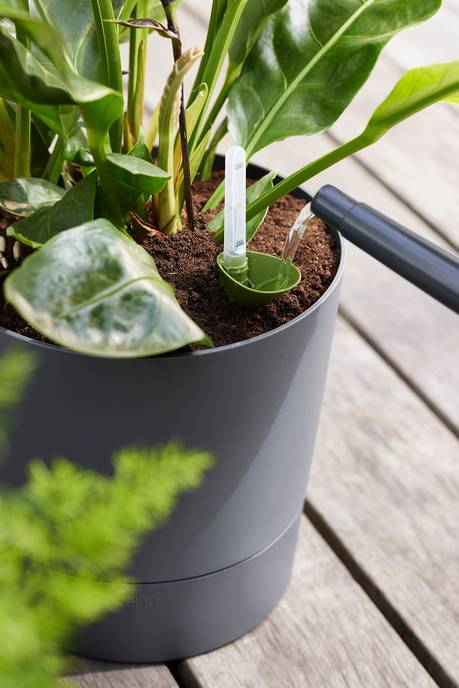 Greensense Aquacare Round Elho vaso auto-irrigável 35 cm cinzento carvão