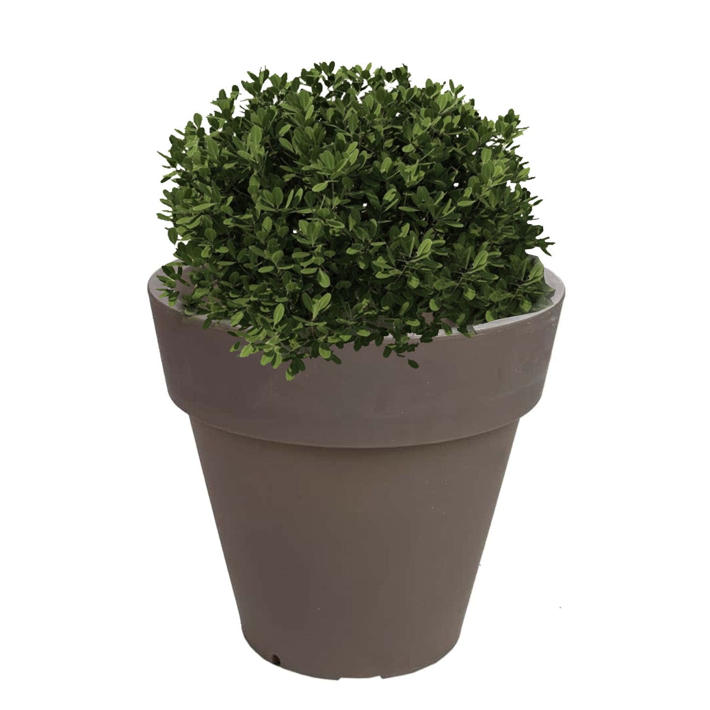 Macetero De Polietileno Por Rotomoldeo Color Topo 35x30 Cm