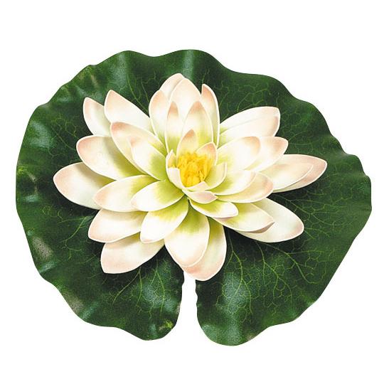 Nenúfar amarelo com gotas