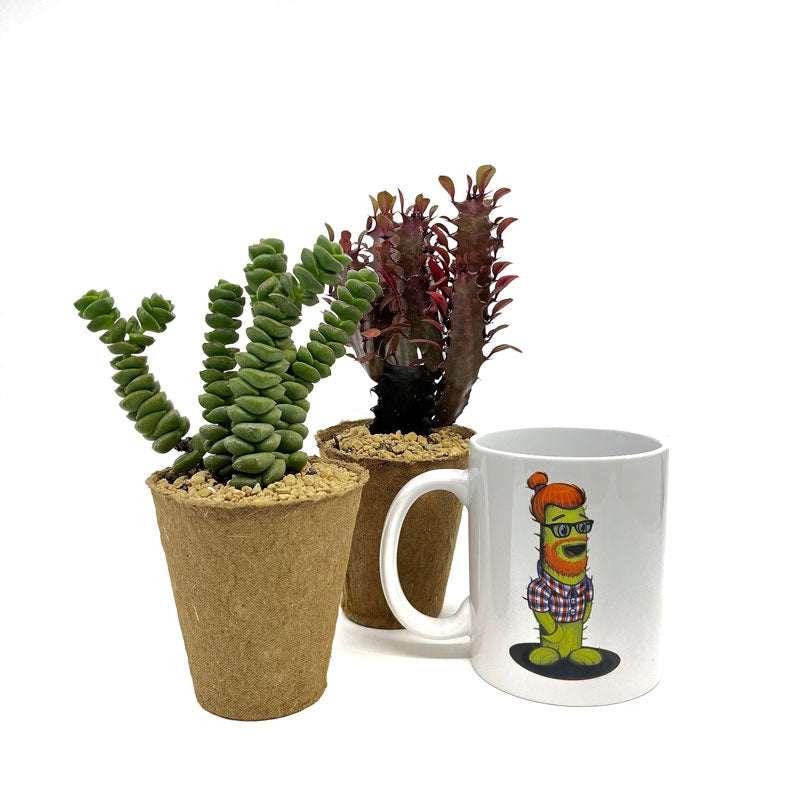 Pack Regalo Día Del Padre Taza Padresucu + Plantas_1