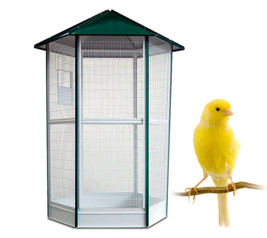 Voladera Para Pájaros de 6 - Pajarera Exterior - Voladero De Jardín Para Periquitos, Agapornis, Canarios Y Otros Pájaros_0