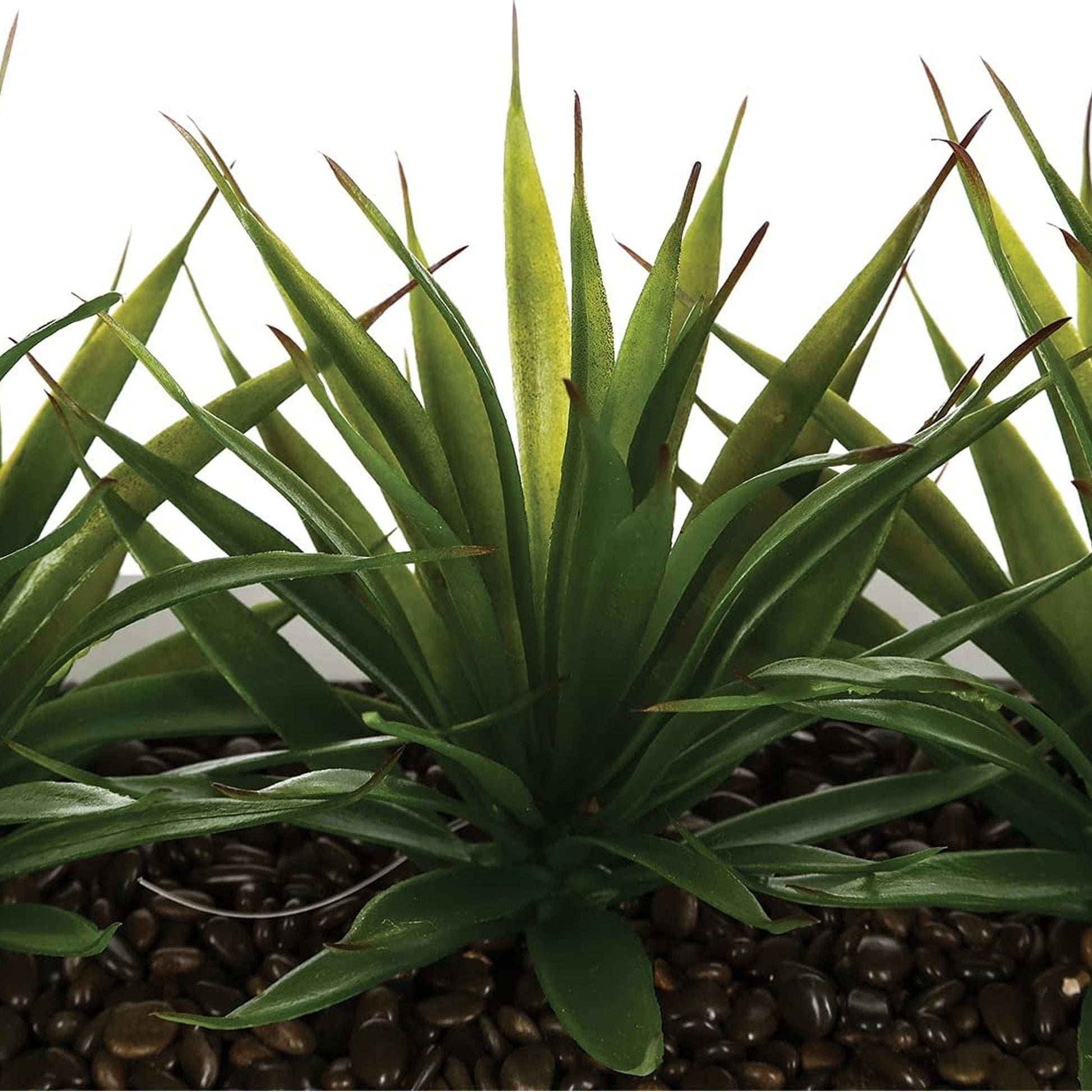Centro De Mesa - 3 Aloe Vera - L.35 X P.14,8 X A 17, Verde_3
