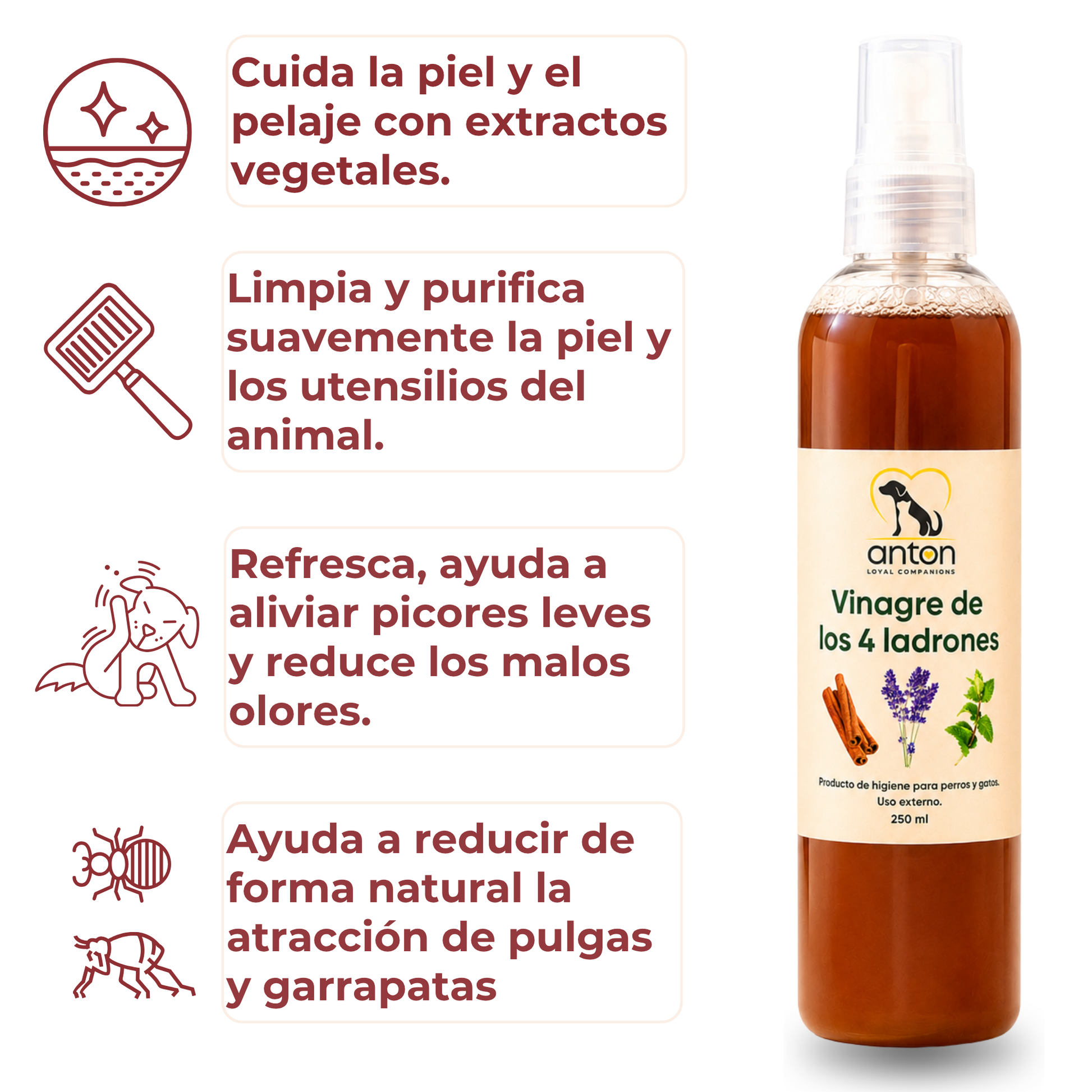 Vinagre de los 4 Ladrones para Perros y Gatos – 250ml_3