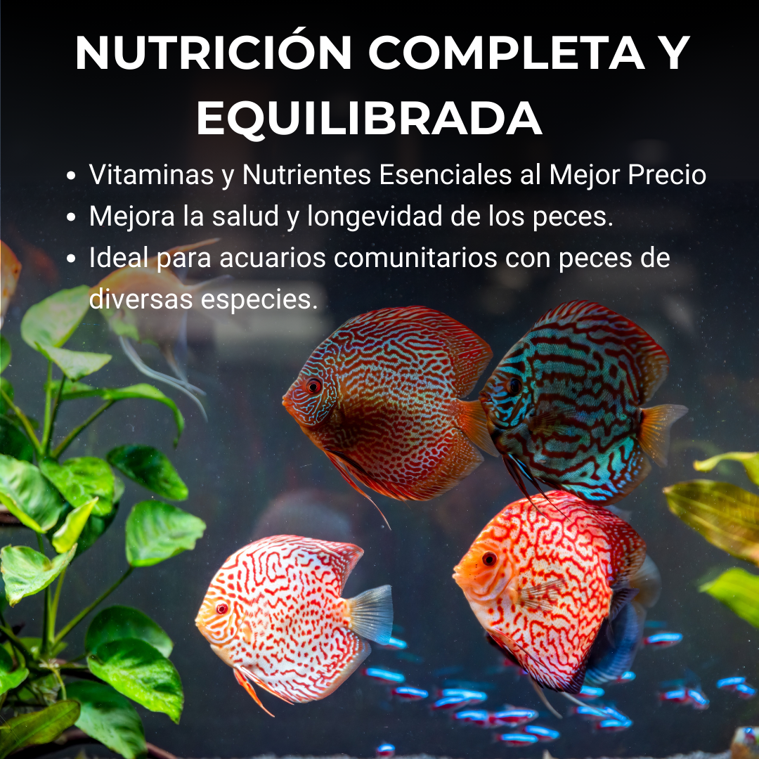 Comida Para Peces Agua Fría Y Tropicales Alimento En Escamas Nutrición Completa, Ocelatus7_1