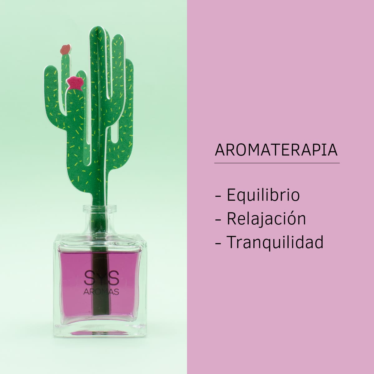 Difusor de Varillas Cactus Lavanda 90 ml | Aroma Floral Relajante | Mikado Decorativo | Ambiente Calmante_3