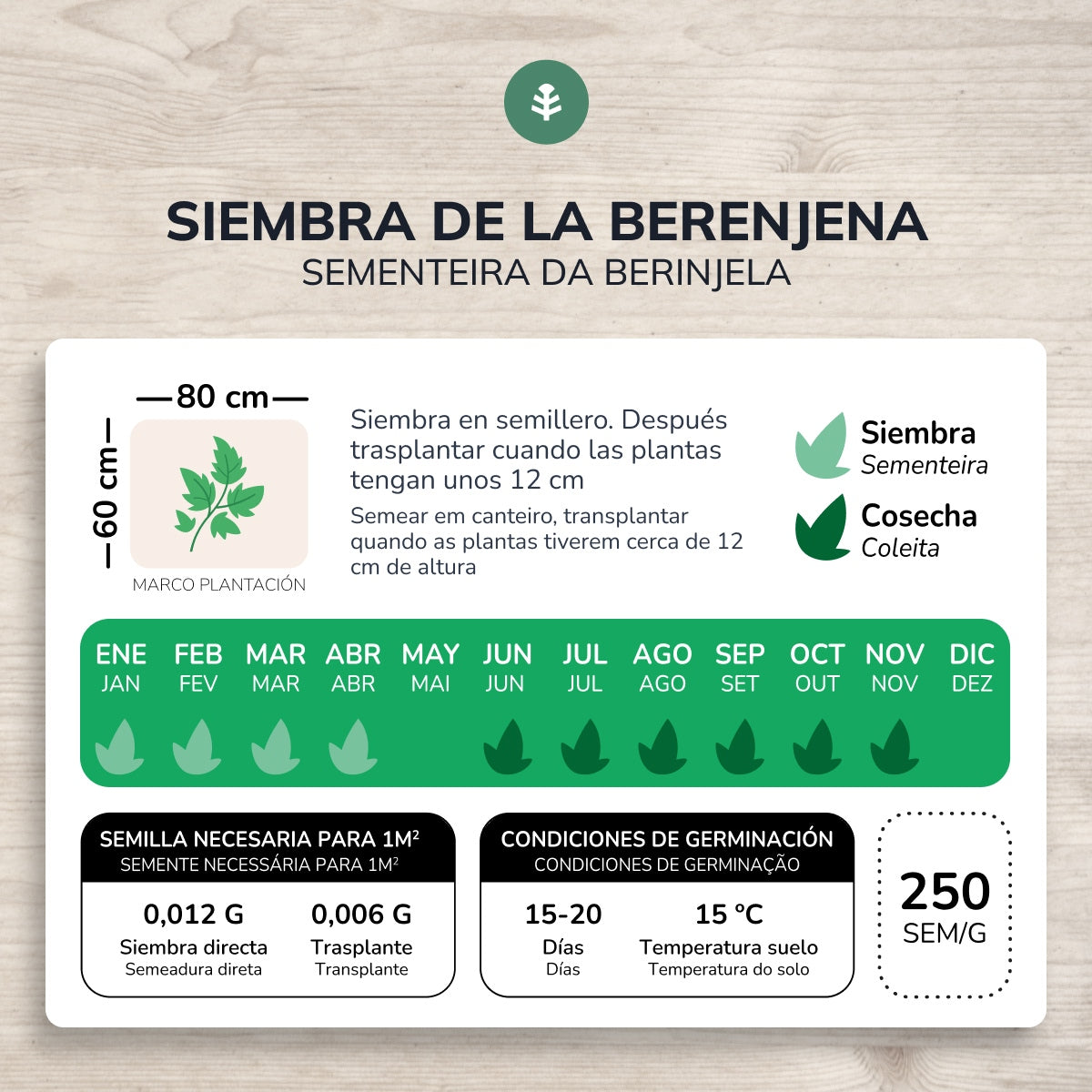 Sementes orgânicas de beringela roxa longa Planeta Huerto