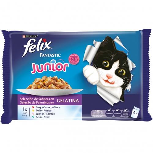 Gelatina FELIX Fantastic Junior 4 x 85 g
