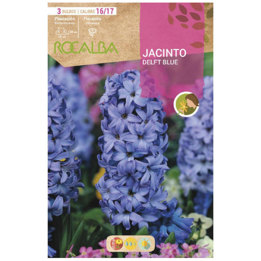 Bulbo de Jacinto Azul de Delft 3 peças Rocalba