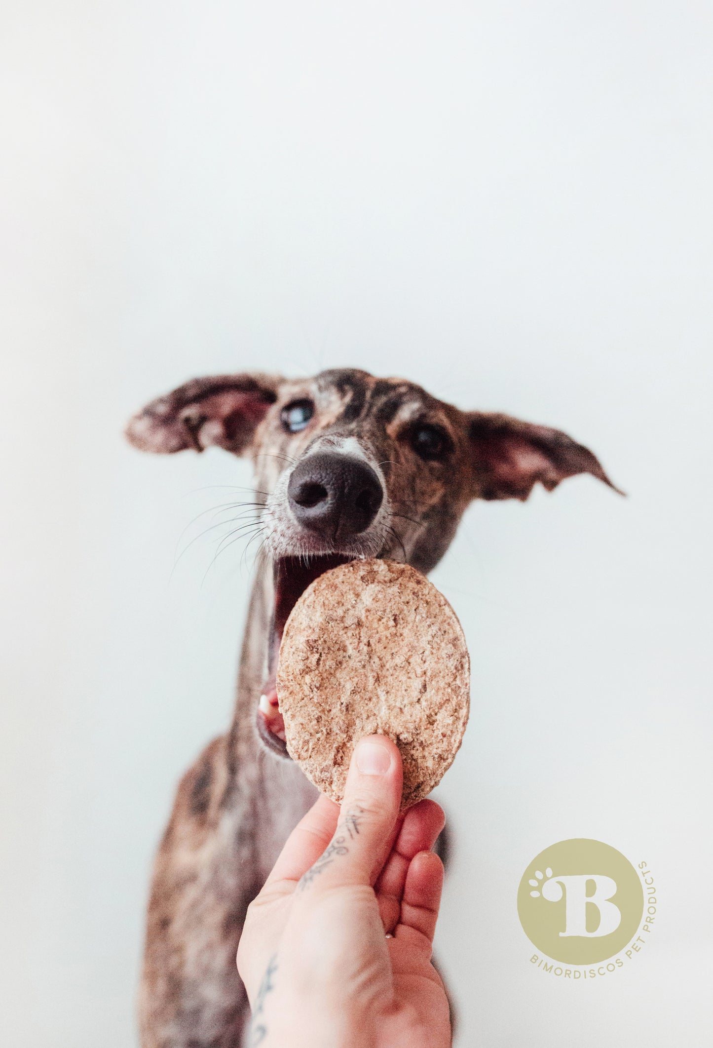 Bimordiscos Hamburguesas De Tripa Verde De Vaca Para Perros · 10 Uds..