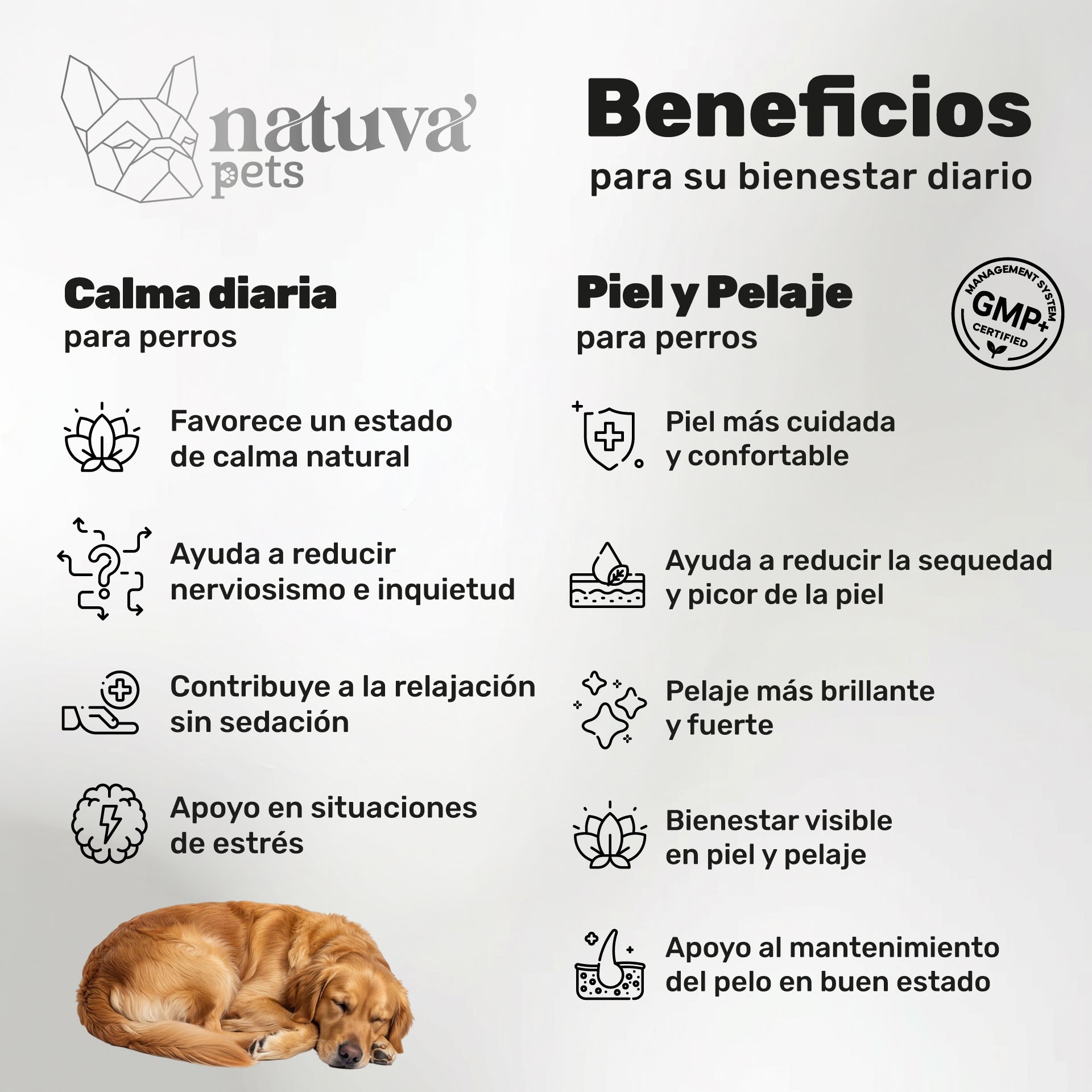 Pack Calmante + Aceite De Salmón Para Perros. Calma, Piel Y Pelo. Suplementos Mascotas. 240 Masticables. Natuva Pets_1