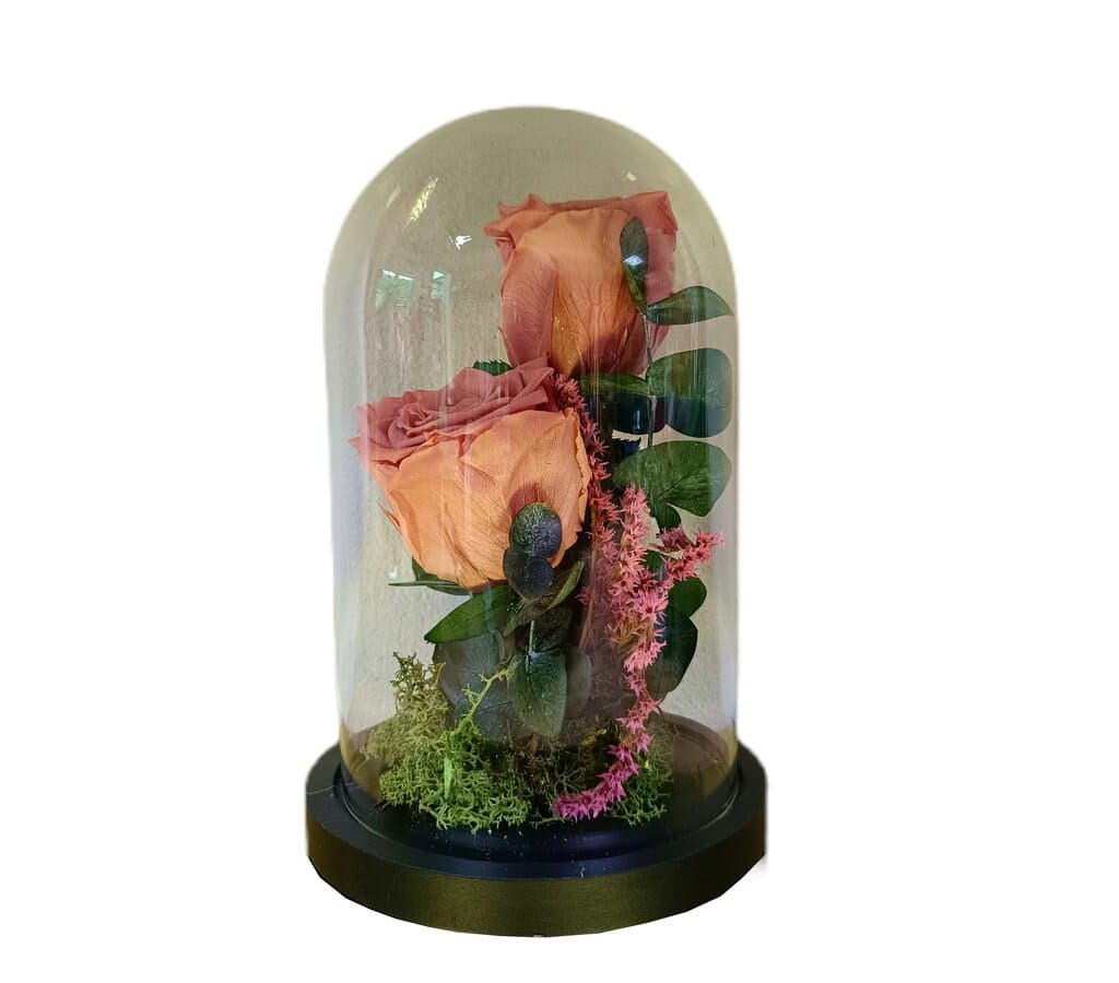 Cúpula 2 Rosas Rosa Vintaje 12x20cm_0