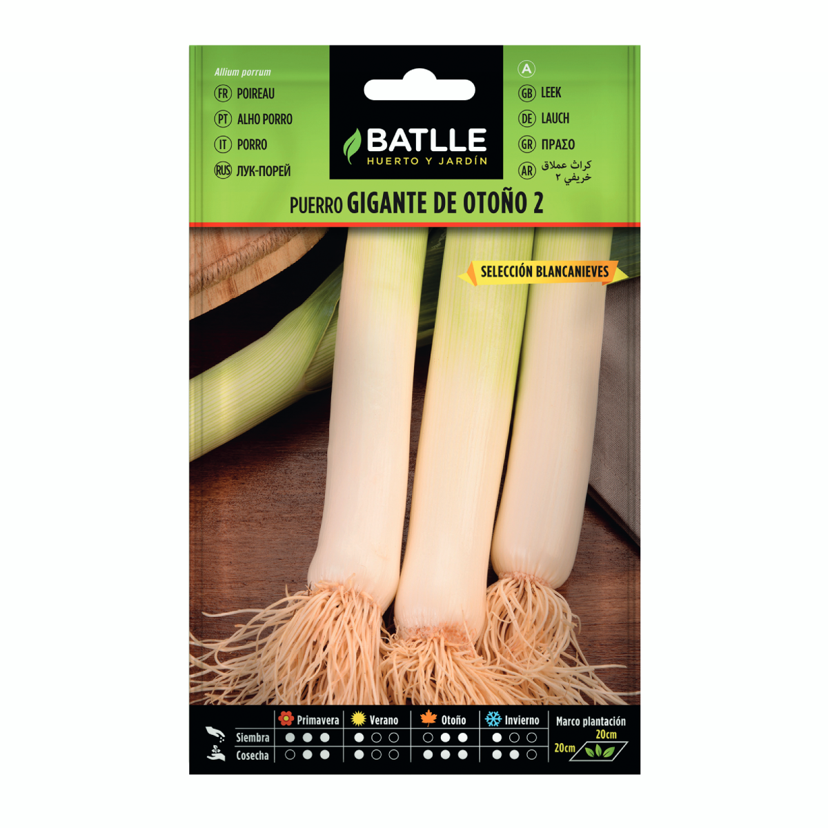 Sementes de alho-francês gigante de outono 2 sementes Snow White Batlle