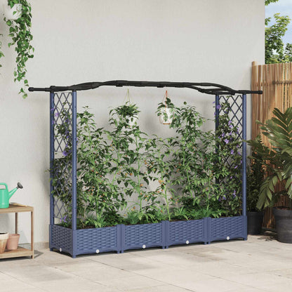 Cama Elevada Con Trellis Y Techo Gris 207 X 40 X 123 Cm Pp_1