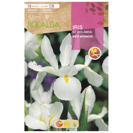 Bulbo de íris holandesa Wedgwood branco 10 peças Rocalba