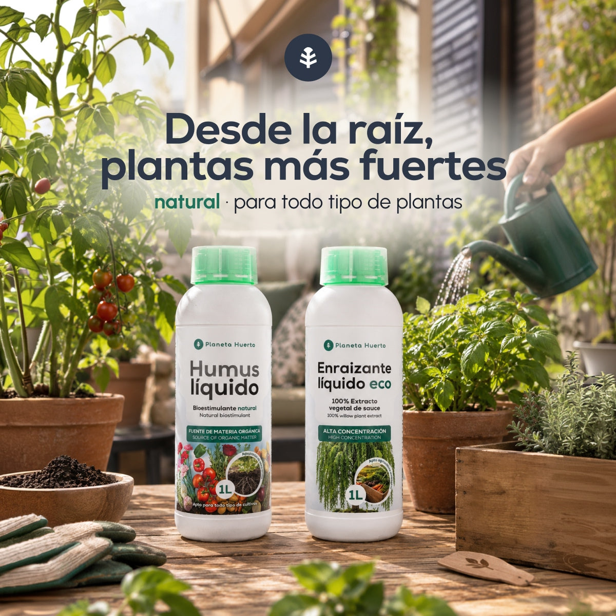 Pack "Raíces fuertes para el Otoño"