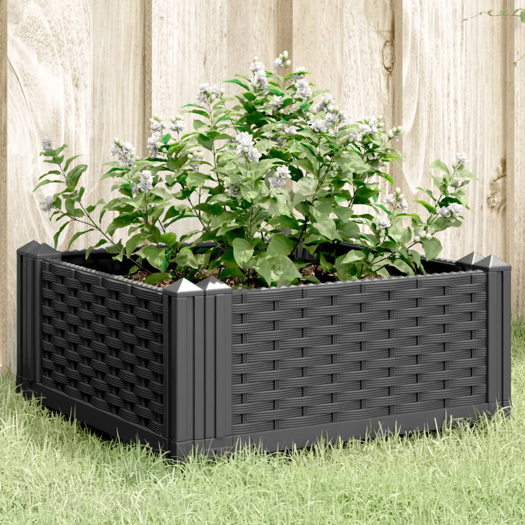 Jardinera Con Clavijas Pp Negro 42,5x42,5x28,5 Cm_1