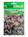 Pacote De Sementes De Lobularia