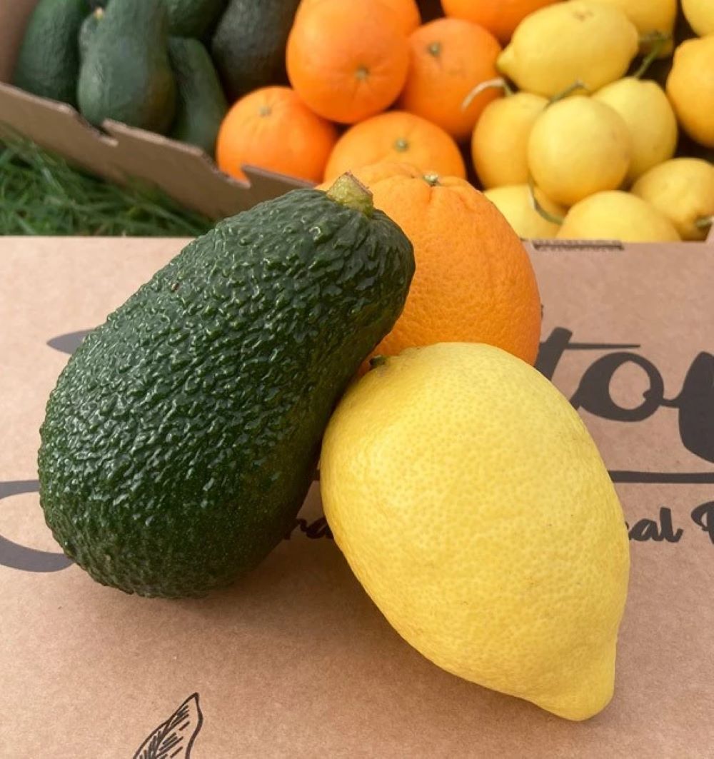 Pack Desayuno: Aguacates Hass, Naranjas Valencianas Y Limones Verna Tropitop 6kg_3