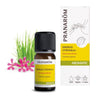 Sinergia Citronela + Difusão BIO Pranarom 10 ml
