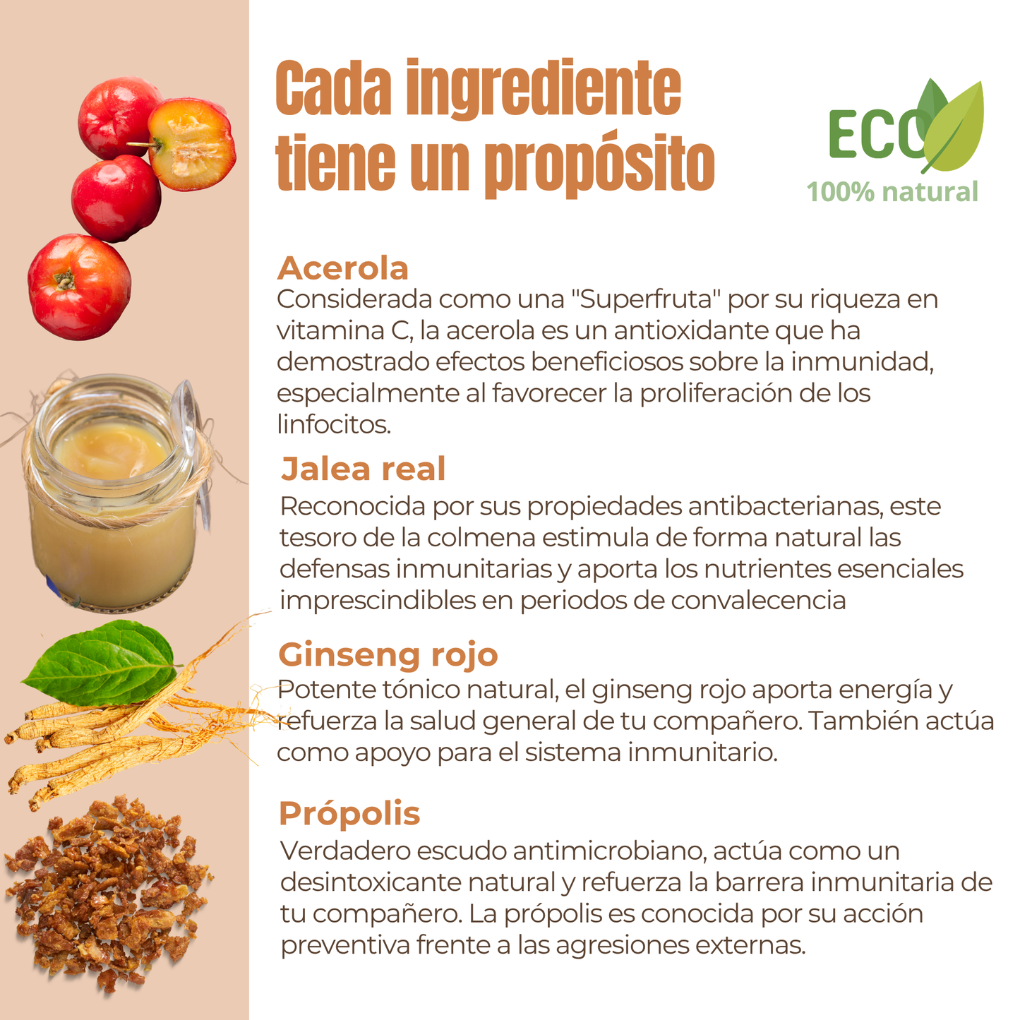 Suplemento natural para la energía y vitalidad de perros y gatos – ECO 100 g_2
