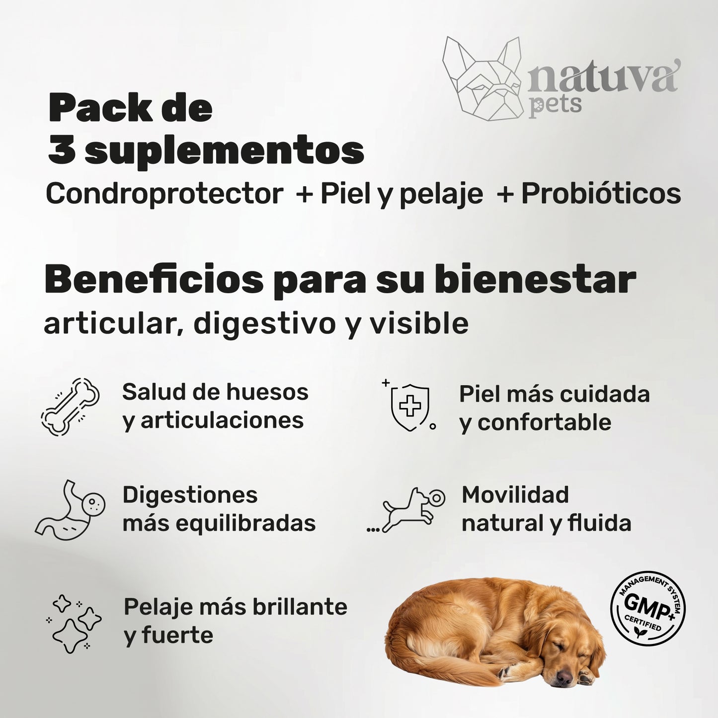 Pack Condroprotector + Probiótico + Aceite De Salmón Para Perros. Suplementos Mascotas. 360 Masticables. Natuva Pets_1