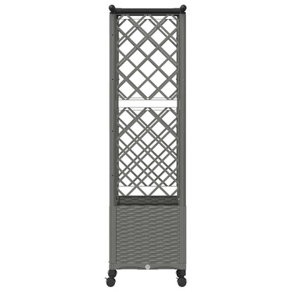 Cama Elevada Con Trellis Y Techo Gris Claro 124,5 X 40 X 142 Cm_4