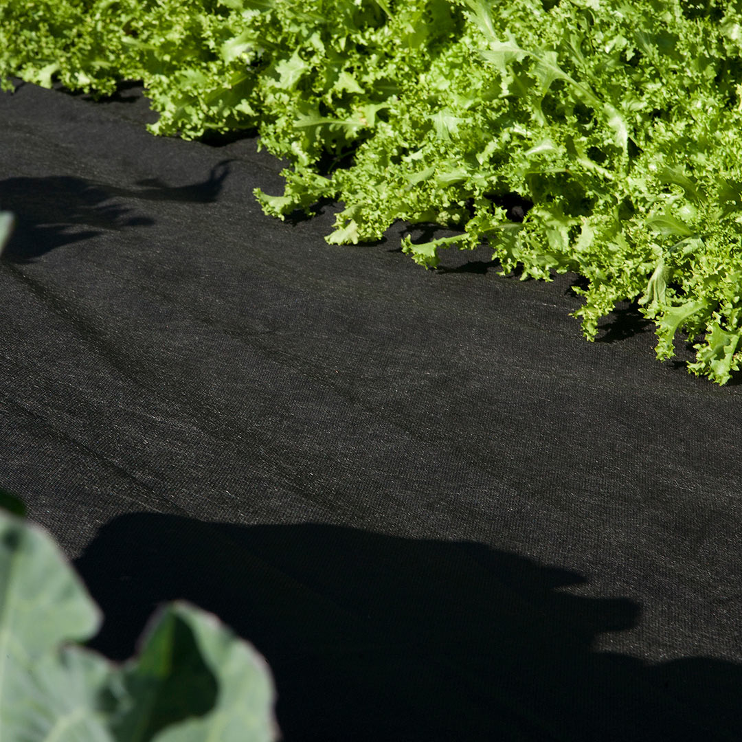 Malla Geotextil 80g Negro - Control De Malas Hierbas 1,5x10 M / Multicolor_0