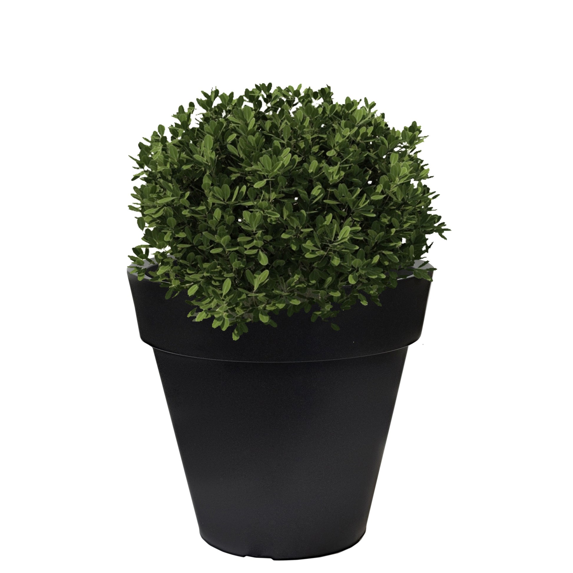 Macetero De Polietileno Por Rotomoldeo Color Antracita 40x35 Cm